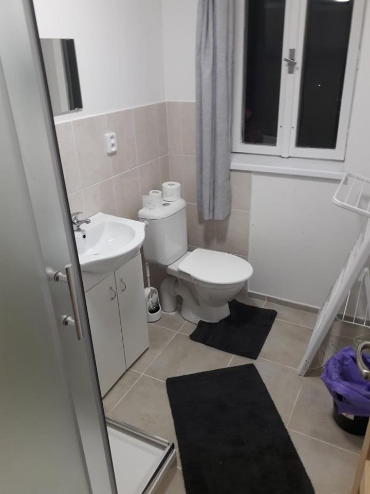 Apartman Pod Marianskou Horou Desná Exteriör bild